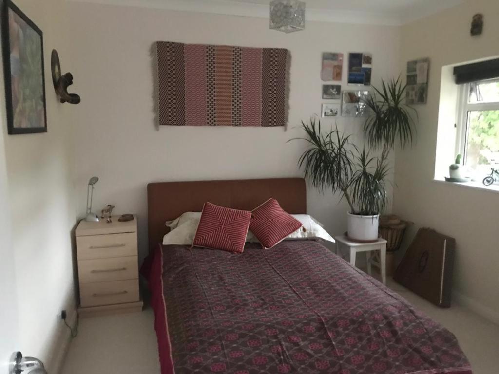 Serene Spacious Room Staines-upon-Thames Exterior foto